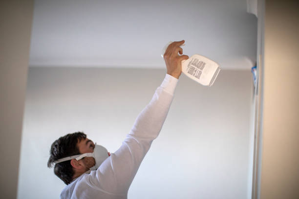 Best Mold Damage Repair  in Ponder, TX
