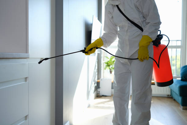 Best Home Mold Removal  in Ponder, TX