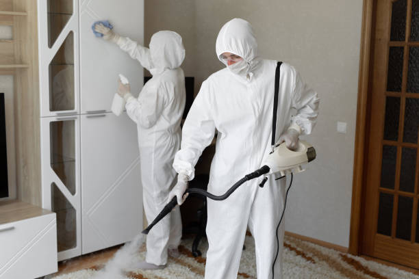 Attic Mold Removal in Ponder, TX