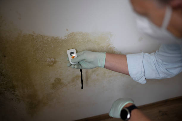 Best Crawl Space Mold Removal  in Ponder, TX