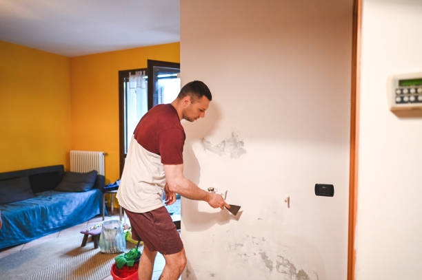 Best Toxic Mold Removal  in Ponder, TX