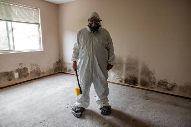 Best Crawl Space Mold Removal  in Ponder, TX